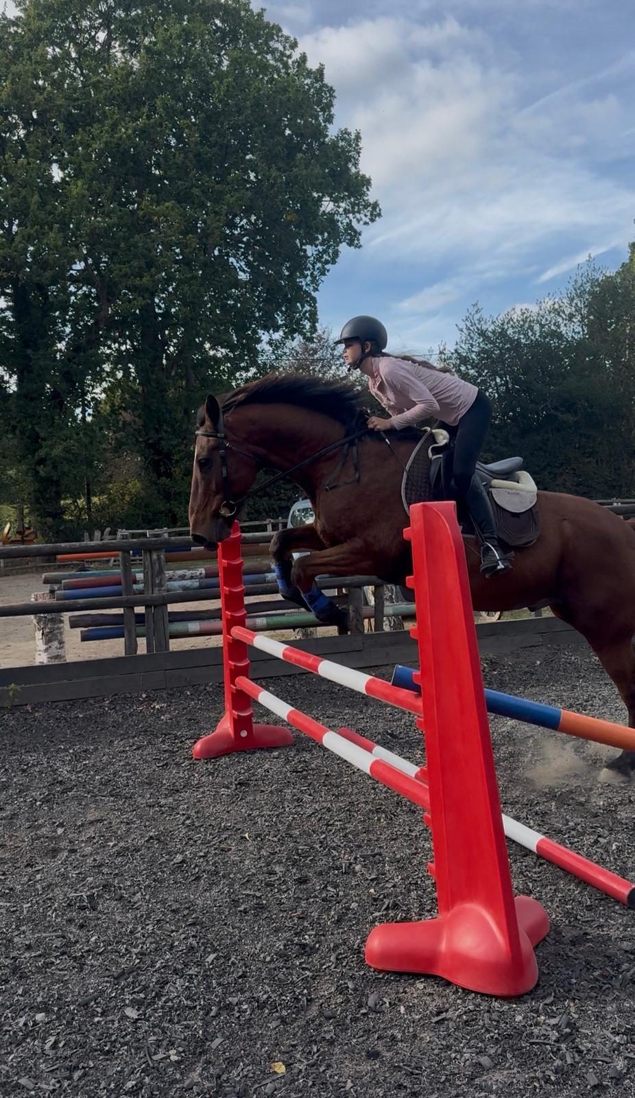 Rider jumping a bay horse over a red and white fence in the rubber school