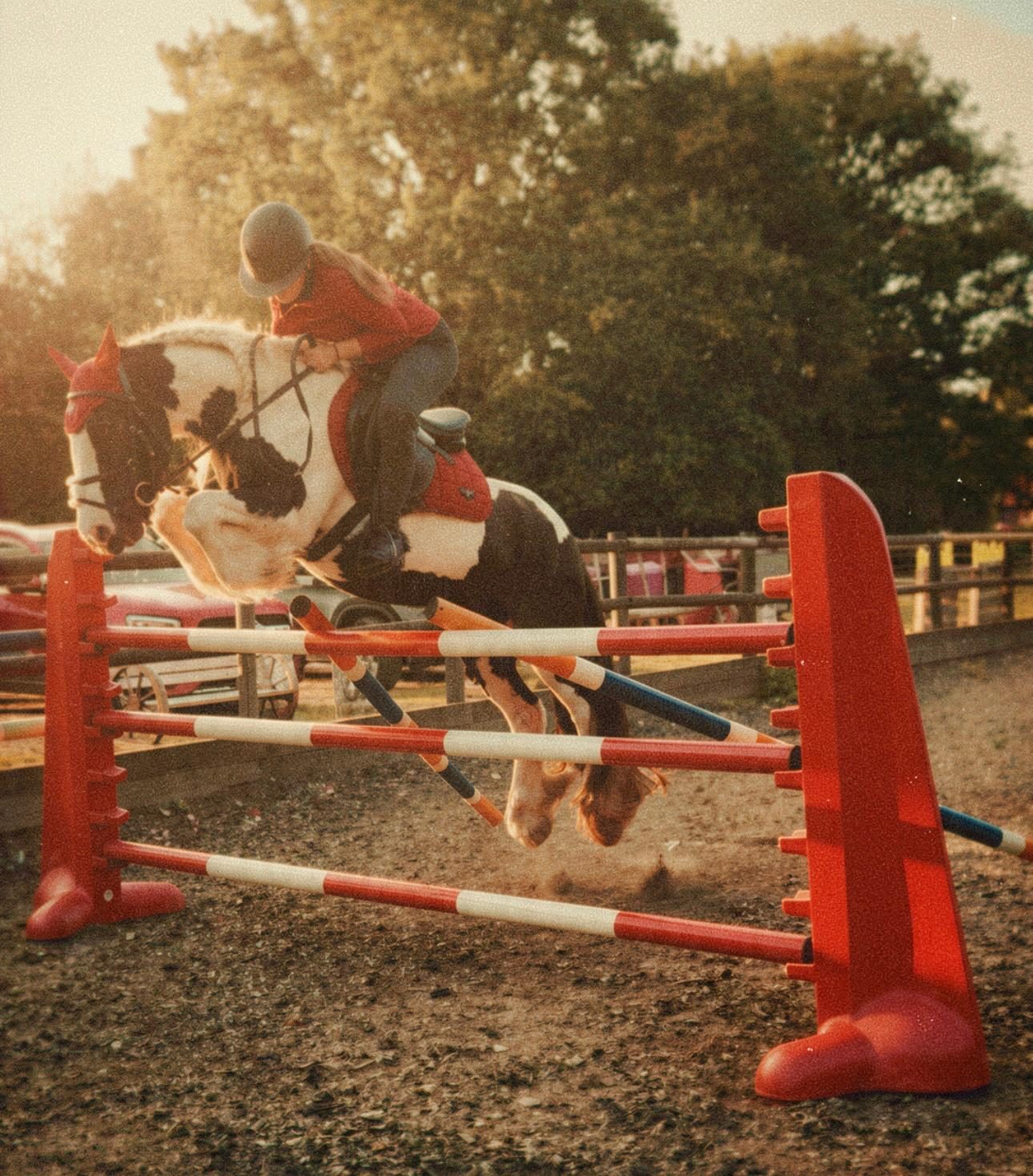 Piebald cob jumping a red and white fence in the sand school