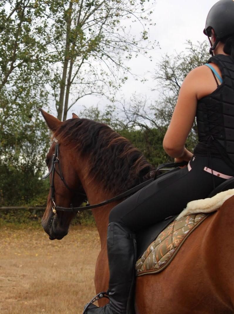 Aimee riding Archie on a cross-country day