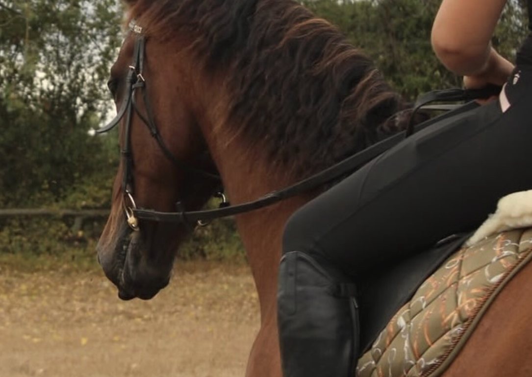 Bay horse and rider in a body protector on a cross-country day